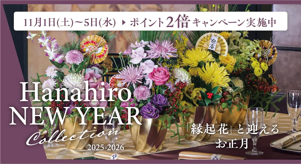 hanahiro NEWYEAR コレクション