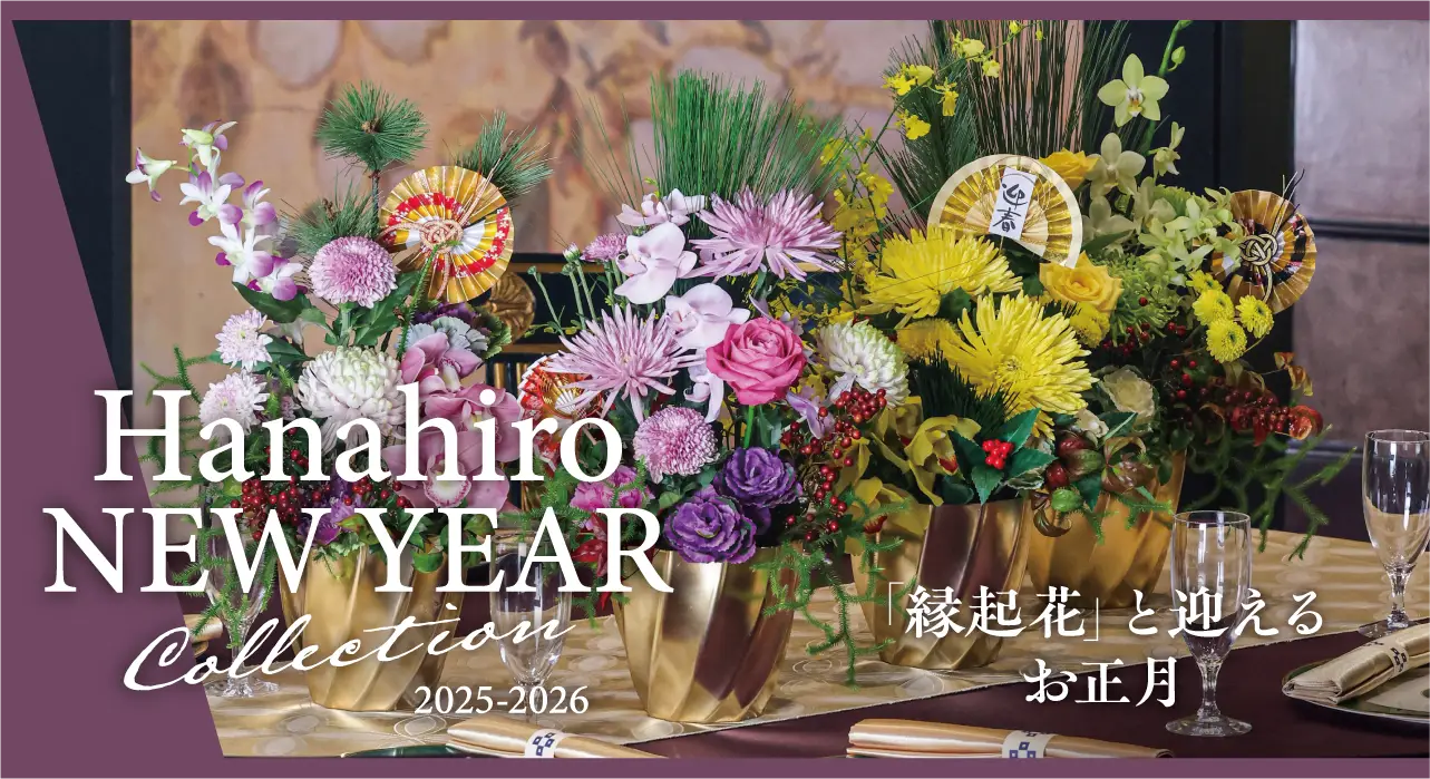 hanahiro NEWYEAR コレクション