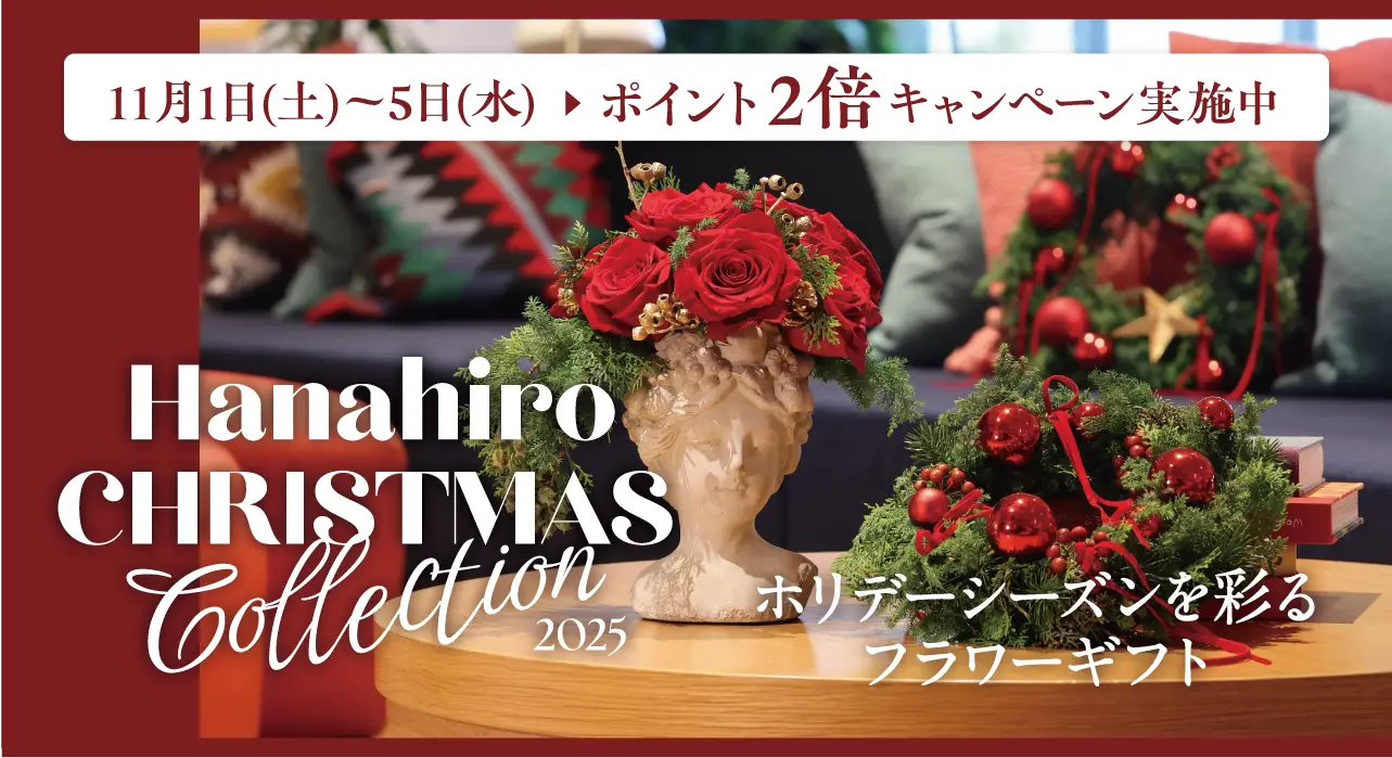 hanahiro クリスマスコレクション