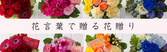 花 フラワーギフト Hanahiro 花弘 公式サイト 花 フラワーギフト Hanahiro 花弘 公式サイト